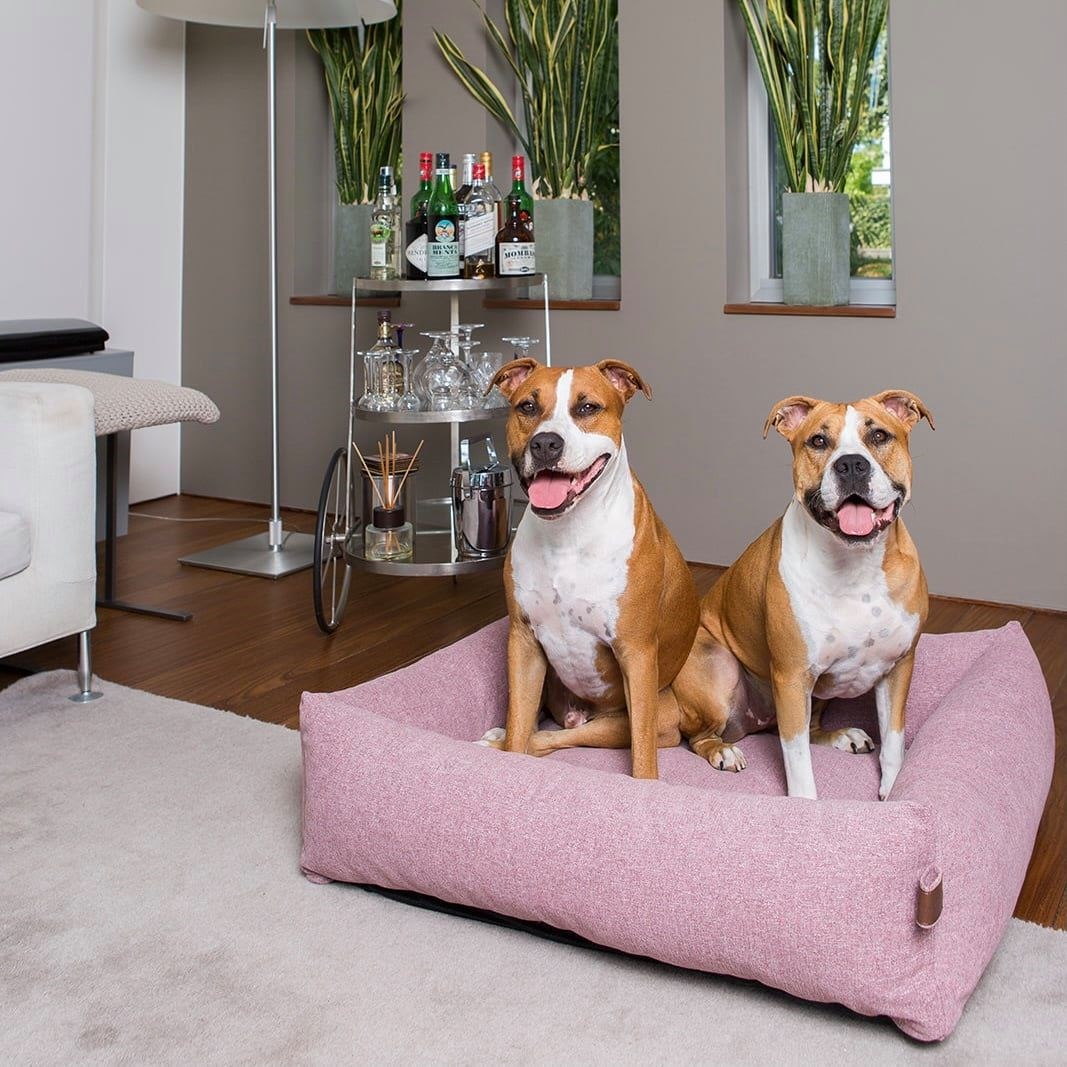 Fantail Snug Ortopedisk Hundbädd - Iconic Pink
